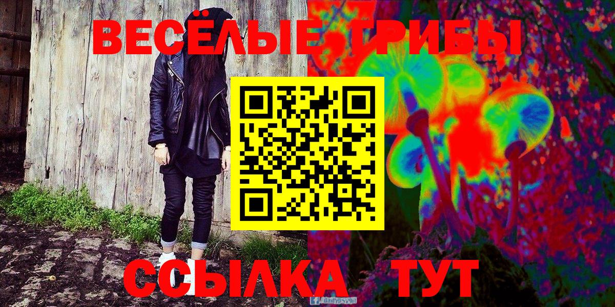 Псилоцибиновые грибы мухоморы Славгород