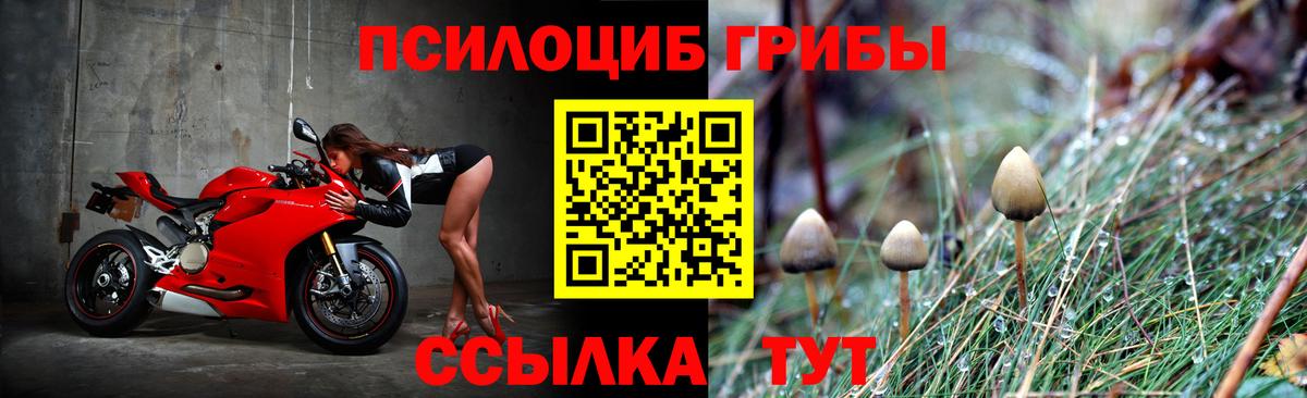Славгород  как найти закладки  Вход с VPN  Псилоцибиновые грибы MAGIC MUSHROOMS 